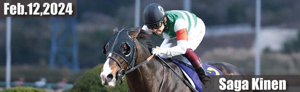 🏇 사가 경마장 (사가케이바조) 이미지 9